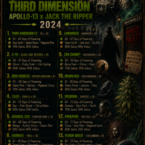 Third Dimension 2024 menu