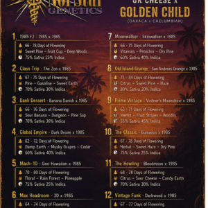 1985 Menu (UK Cheese x Golden Child)